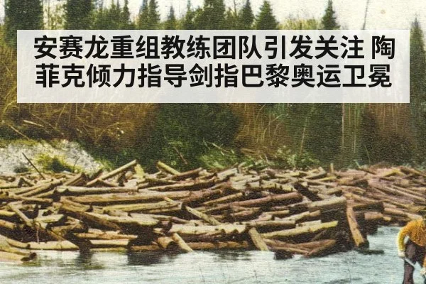 安赛龙重组教练团队引发关注 陶菲克倾力指导剑指巴黎奥运卫冕